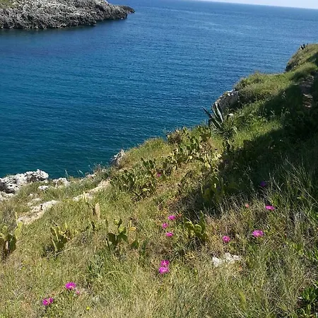 Badisco Vacanze *